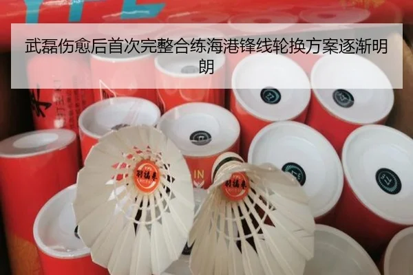 武磊伤愈后首次完整合练海港锋线轮换方案逐渐明朗